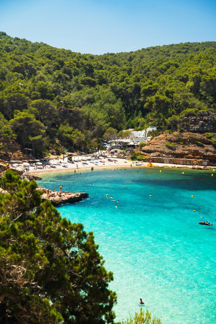 Palm trees overlooking the pristine beach and clear turquoise waters of Ibiza – Avenue Travel